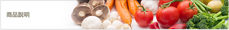 商品説明